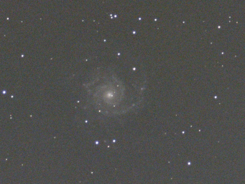 M74